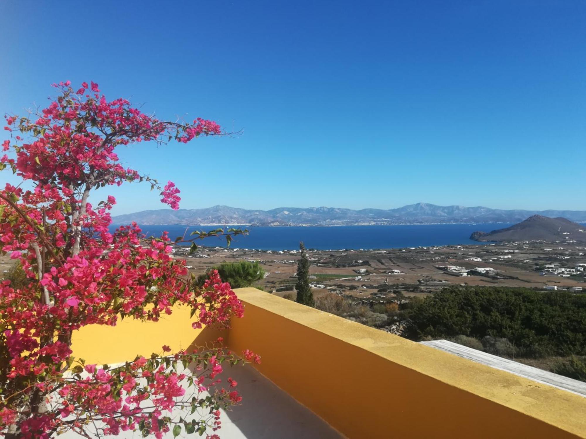 Bralos - Paros, Sea View
